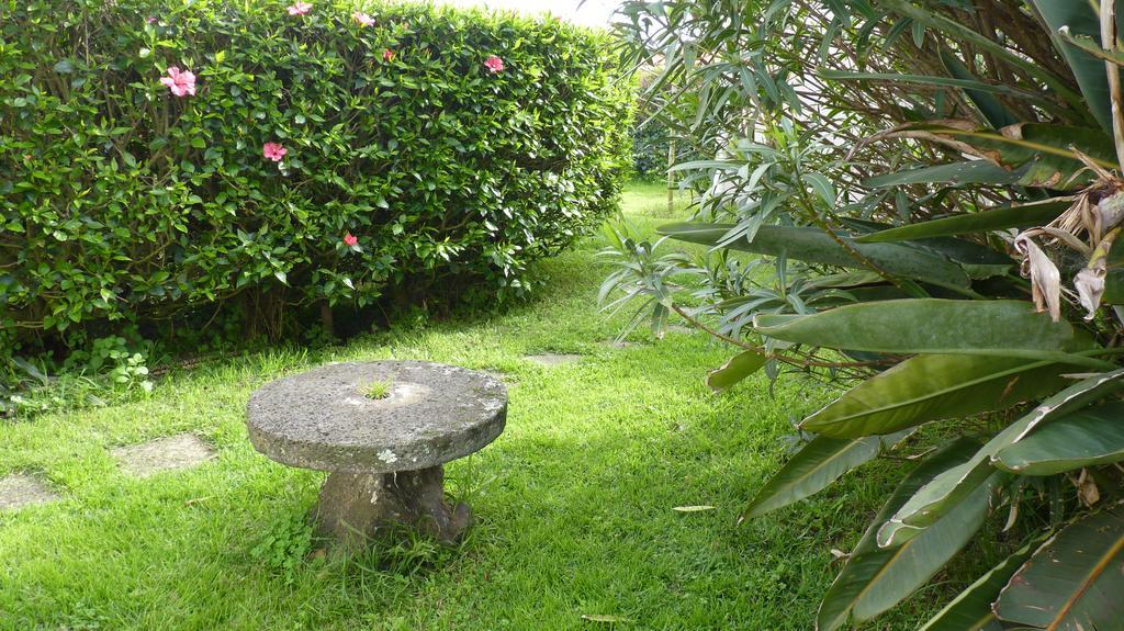 Azores Garden House - Private Suites & Apartments - Automatic Self Check-In Ponta Delgada  Luaran gambar