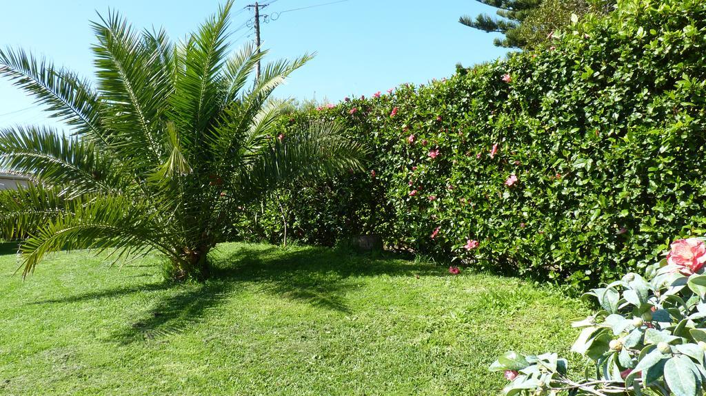 Azores Garden House - Private Suites & Apartments - Automatic Self Check-In Ponta Delgada  Luaran gambar