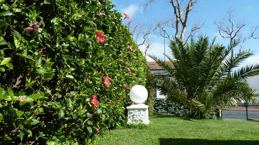 Azores Garden House - Private Suites & Apartments - Automatic Self Check-In Ponta Delgada  Luaran gambar